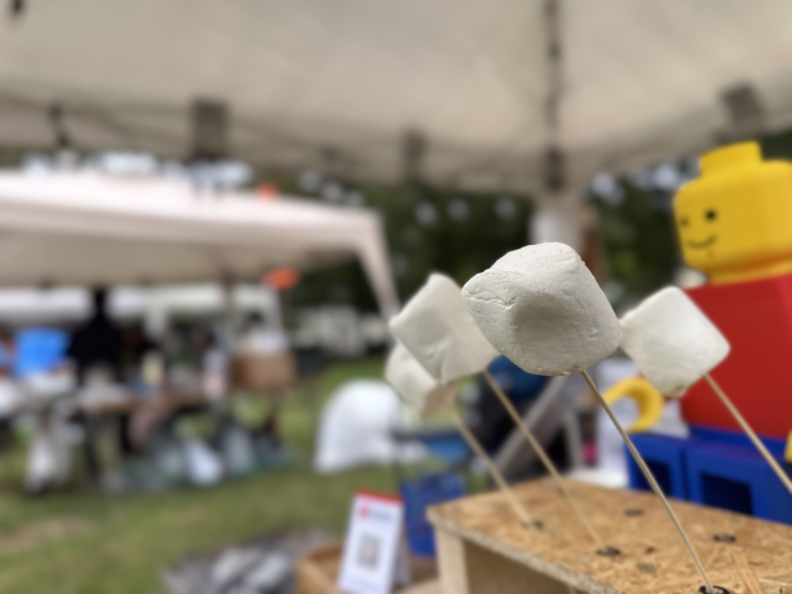 グルメ&スポーツフェスタ2025 1